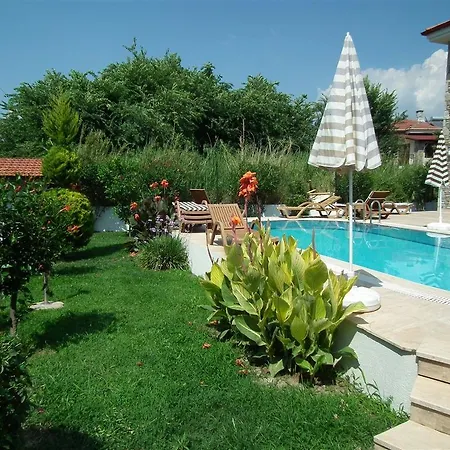 Safran * Dalyan